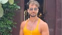 ABP Live Celeb Spotted | Tiger Shroff, Ayush Sharma, Kajal Agarwal, Arbaaz Khan And Saiee Manjrekar Seen Around Mumbai