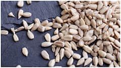 Sunflower Seeds : రోజూ గుప్పెడు పొద్దుతిరుగుడు గింజలు తింటే ఆరోగ్యానికి ఎన్ని లాభాలో.. జుట్టు, స్కిన్, హెల్త్ బెనిఫిట్స్ కోసం
