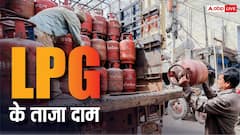 कमर्शियल एलपीजी सिलेंडर की सप्लाई पर आया बड़ा अपडेट, चेक करें आज का रेट