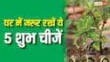 Vastu Tips: घर में जरूर रखें ये 5 शुभ चीजें, बनी रहेगी सुख-समृद्धि, सकारात्मक ऊर्जा और आर्थिक तरक्की
