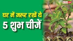 Vastu Tips: घर में जरूर रखें ये 5 शुभ चीजें, बनी रहेगी सुख-समृद्धि, सकारात्मक ऊर्जा और आर्थिक तरक्की