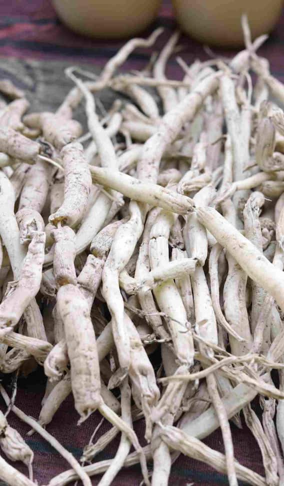 'किडाजडी' किती रुपयांना किलो विकली जाते?