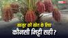 खजूर की खेती के लिए कौन सी मिट्टी सबसे अच्छी रहती है, जानें कैसे बोते हैं इसका पेड़?
