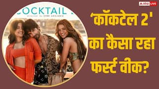 Cocktail 2 BO Collection Day 7: शाहिद की 'कॉकटेल 2' ने पहले हफ्ते में किया कमाल, साल की 28 फिल्मों के उड़ाए परखच्चे, बना दिया ये रिकॉर्ड