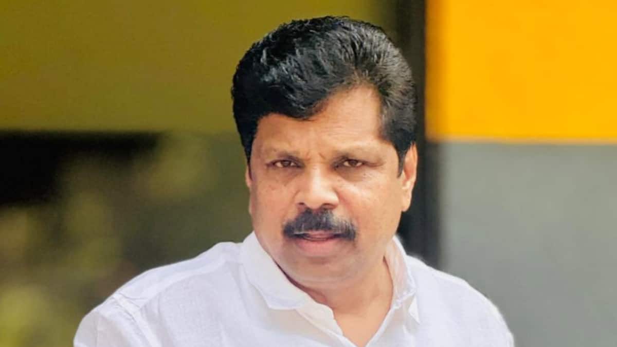 Kerala To Decide On Low-Alcohol Tax Cut Only After UDF, Congress Consultations