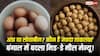 Eggs vs Soybeans : अंडा Vs सोयाबीन... प्रोटीन के मामले में ज्यादा ताकतवर कौन? बंगाल में मिड-डे मील का बदल गया मेन्यू