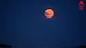 Full Moon in the Sky: পূর্ণিমায় রাতের আকাশে ‘স্ট্রবেরি মুন’, সোমবার দেখতে পাবেন, ২০২৬ কেন গুরুত্বপূর্ণ জানুন