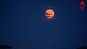 Full Moon in the Sky: পূর্ণিমায় রাতের আকাশে ‘স্ট্রবেরি মুন’, সোমবার দেখতে পাবেন, ২০২৬ কেন গুরুত্বপূর্ণ জানুন