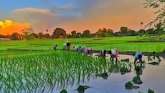इन राज्यों में होने वाली है भारी बारिश, अब क्या करें किसान?