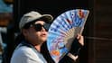 Europe Heatwave Turns Deadly: 4 Children Die, 55 Drownings; AC Panic Buying Begins