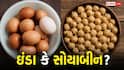 ઈંડા Vs સોયાબીન... પ્રોટીનની બાબતમાં કોણ છે વધુ શક્તિશાળી? ખાતા પહેલા જાણીલો