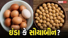 ઈંડા Vs સોયાબીન... પ્રોટીનની બાબતમાં કોણ છે વધુ શક્તિશાળી? ખાતા પહેલા જાણીલો