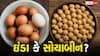 ઈંડા Vs સોયાબીન... પ્રોટીનની બાબતમાં કોણ છે વધુ શક્તિશાળી? ખાતા પહેલા જાણીલો