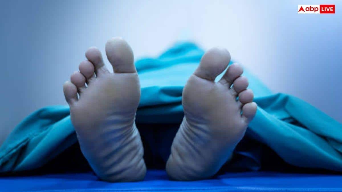 4-Year-Old Boy Who Fell Into Borewell In Ambala Brought Out Dead