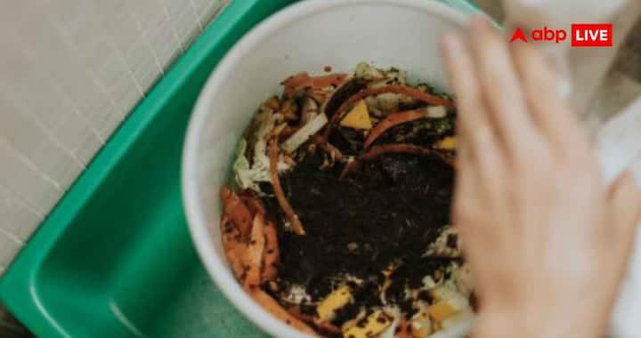 खाद जल्दी तैयार करने के लिए सभी छिलकों को छोटे टुकड़ों में काट लें. छोटे टुकड़े जल्दी गलते हैं और सड़ने की प्रक्रिया तेज हो जाती है, जिससे खाद कम समय में तैयार हो जाती है.
