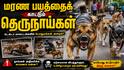 மரண பயத்தைக் காட்டும் தெருநாய்கள்: டெல்டா மாவட்டங்களில் பொதுமக்கள் அலறல்... தீர்வு என்ன? ஓர் அதிர்ச்சிப் பார்வை!