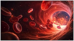 Hemoglobin Increasing Tips : హెమోగ్లోబిన్ తక్కువగా ఉందా? పెరగాలంటే ఈ చిట్కాలు తప్పక పాటించండి
