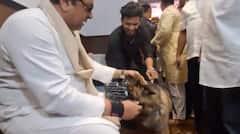Raj Thackeray: मनसे विभागाध्यक्षांचा अतिउत्साह, राज ठाकरेंच्या भेटीसाठी चक्क कुत्राच घेऊन आले; मनसेप्रमुख चांगलेच संतापले