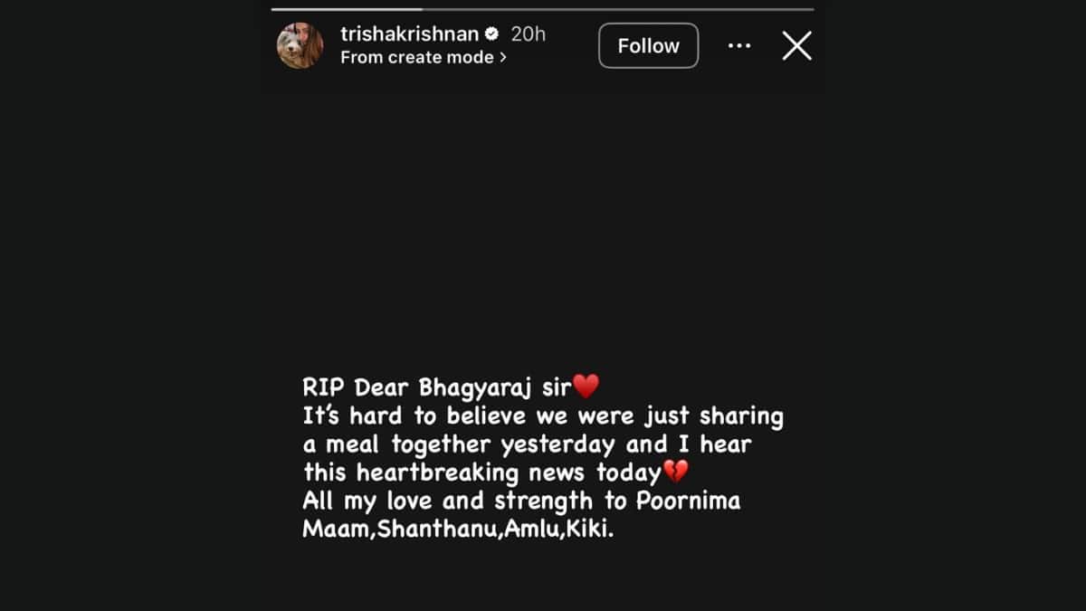 (Image Source: Instagram/@trishakrishnan)