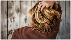 Best Hair Oils : జుట్టు రాలడాన్ని తగ్గించే 8 బెస్ట్ హెయిర్ ఆయిల్స్.. ఏ నూనెతో ఏ లాభం పొందవచ్చో తెలుసుకోండిలా