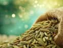 ਤੁਸੀਂ ਵੀ ਖਾਣੇ ਤੋਂ ਬਾਅਦ ਸੌਂਫ ਮਿਸ਼ਰੀ ਖਾਂਦੇ ਹੋ? ਜਾਣੋ ਇਸ ਨਾਲ ਕੀ ਹੁੰਦੇ ਫਾਇਦੇ
