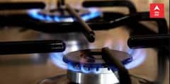 LPG Cylinder Safety Tips : ਘਰ 'ਚ ਗੈਸ ਦੀ ਹਲਕੀ ਜਿਹੀ ਬੂ ਨੂੰ ਵੀ ਨਾ ਕਰੋ ਨਜ਼ਰਅੰਦਾਜ਼, ਸਮੇਂ ਸਿਰ ਚੁੱਕੋ ਇਹ ਕਦਮ, ਬਚ ਸਕਦੀ ਹੈ ਜਾਨ