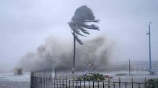 Weather Update: દેશના 15 રાજ્યોમાં ભારે વરસાદ અને વાવોઝોડાનું એલર્ટ, હવામાન વિભાગની ચેતવણી 