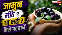Jamun Buying Tips : जामुन मीठे हैं या नहीं? खरीदने से पहले बिना चखे ऐसे पहचानें