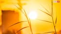France Heatwave: फ्रांस में हीटवेव से 1000 लोगों की गई जान, जानें कितनी गर्मी झेल सकता है हमारा शरीर?
