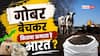 Cow Dung Export: दुनिया के कितने देशों को गोबर बेचता है भारत, जानें हर महीने कितनी होती है कमाई?