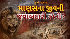 Hun To Bolish : હું તો બોલીશ : માણસના જીવની જવાબદારી કોની?
