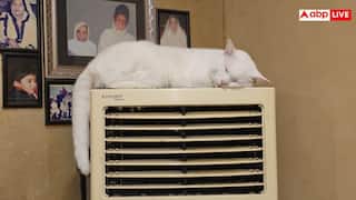 Air Cooler Humidity Tips: बदलते मौसम में आपका कूलर भी फेंकने लगा है चिपचिपी हवा, तुरंत अपनाएं ये ट्रिक्स