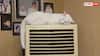 Air Cooler Humidity Tips: बदलते मौसम में आपका कूलर भी फेंकने लगा है चिपचिपी हवा, तुरंत अपनाएं ये ट्रिक्स