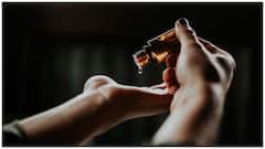 Best Hair Oils : జుట్టు రాలడాన్ని తగ్గించే 8 బెస్ట్ హెయిర్ ఆయిల్స్.. ఏ నూనెతో ఏ లాభం పొందవచ్చో తెలుసుకోండిలా