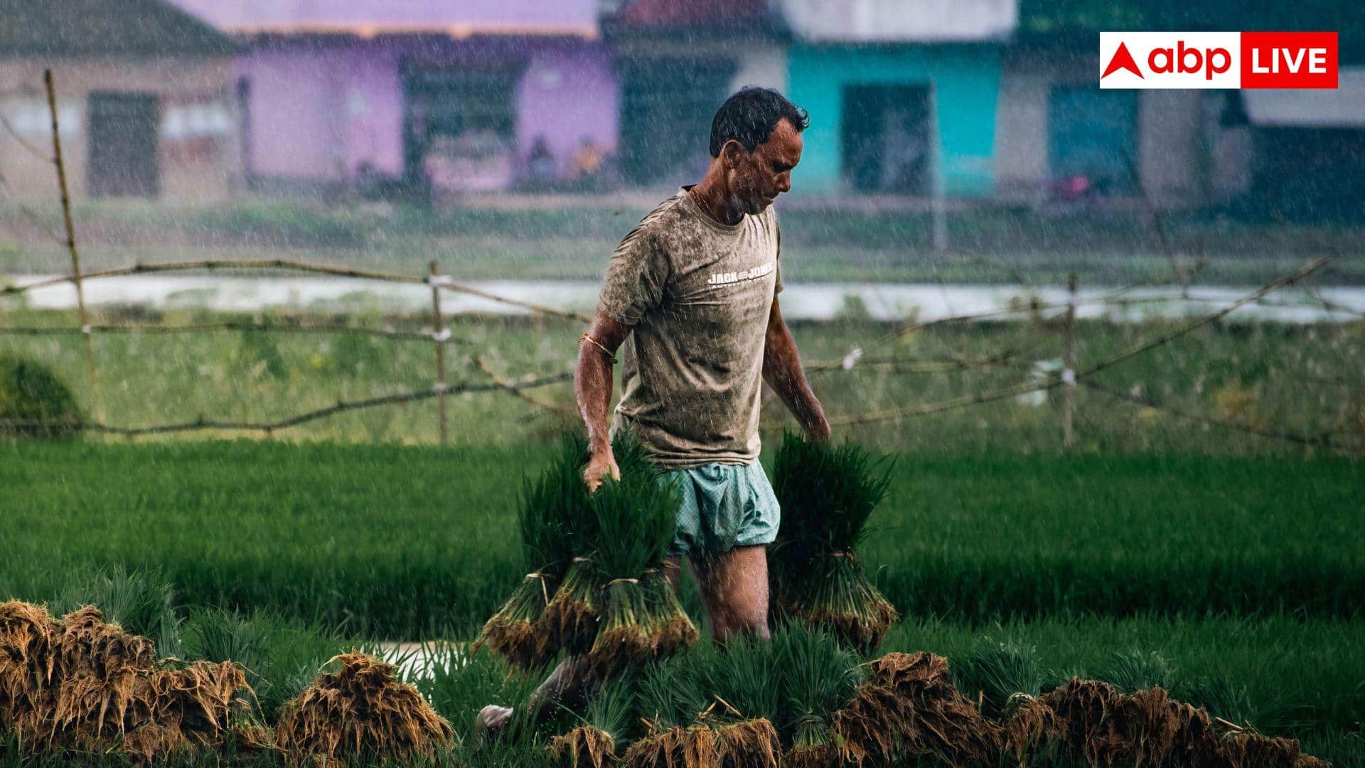 Water Saving in Agriculture: अगर कमजोर पड़ा मानसून तो नुकसान से उबरने के इन तरीकों को अपनाएं किसान, होगा फायदा