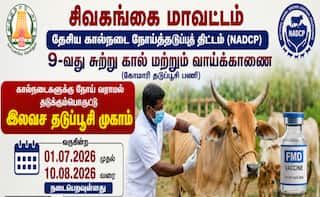 சிவகங்கை கால்நடைகளுக்கு பாதுகாப்பு கவசம்... இலவச கோமாரி தடுப்பூசி முகாம் !