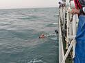 Indian Coast Guard Rescues Six Fishermen As Boat Begins Sinking Off Karnataka Coast