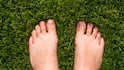 Toe Hair Facts: পায়ের আঙুলে লোম থাকে কেন, ভাল না খারাপ?