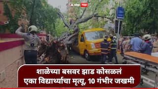 Mumbai Accident : चेंबूरमध्ये मोठी दुर्घटना; शाळकरी मुलांच्या बसवर झाड कोसळलं, एका विद्यार्थ्याचा दुर्दैवी मृत्यू, 10 जण गंभीर जखमी