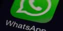 હવે WhatsApp પર નંબર આપ્યા વિના પણ કરી શકશો વાતચીત! હવે આવ્યું નવું Username ફીચર