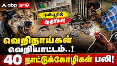 10 ஆண்டு உழைப்பை ஒரே இரவில் அழித்த வெறிநாய்கள்: கண்ணீரில் பட்டதாரி வாலிபர்!