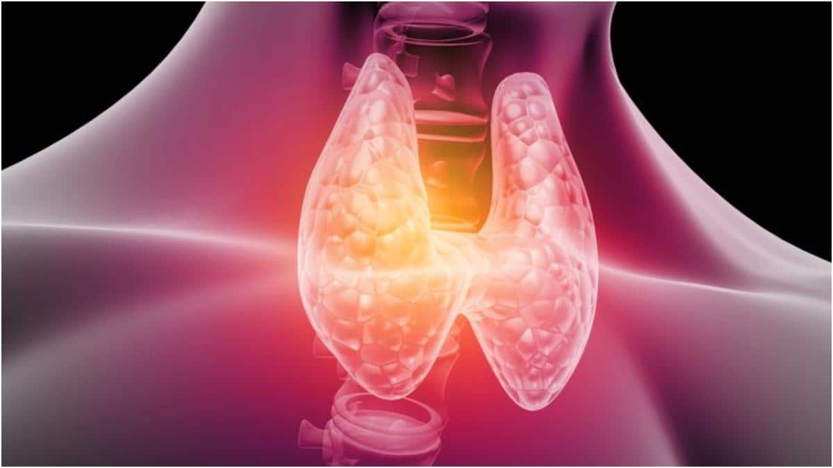 Thyroid In Women : మహిళల్లో థైరాయిడ్ సమస్యలు మగవారికంటే ఎక్కువ రావడానికి కారణాలేంటి? ఈ లక్షణాలను నిర్లక్ష్యం చేయకండి