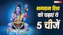 July Masik Shivratri 2026: भगवान शिव को चढ़ाएं ये 5 चीजें, नहीं होगी धन की कमी