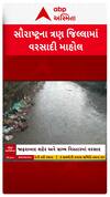 Saurashtra Rain : સૌરાષ્ટ્રના 3 જિલ્લામાં વરસાદી માહોલ