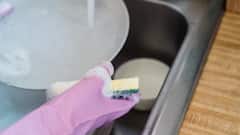 Kitchen Sponge: कितने दिन से नहीं बदला बर्तन धोने वाला झाबा? बना सकता है बहुत बीमार 