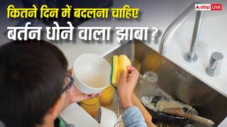 Kitchen Sponge: कितने दिन से नहीं बदला बर्तन धोने वाला झाबा? बना सकता है बहुत बीमार 