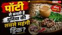 Kopi Luwak: इस जानवर की पॉटी से बनती है दुनिया की सबसे महंगी  ड्रिंक! एक कप की कीमत जानकर उड़ जाएंगे होश