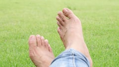 Toe Hair Facts: পায়ের আঙুলে লোম থাকে কেন, ভাল না খারাপ?