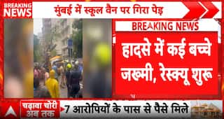 BREAKING: Tree Crushes School Van in Mumbai's Chembur, Child Trapped as Emergency Rescue Continues