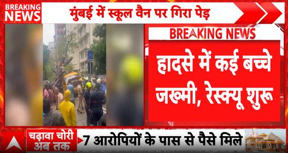BREAKING: Tree Crushes School Van in Mumbai's Chembur, Child Trapped as Emergency Rescue Continues